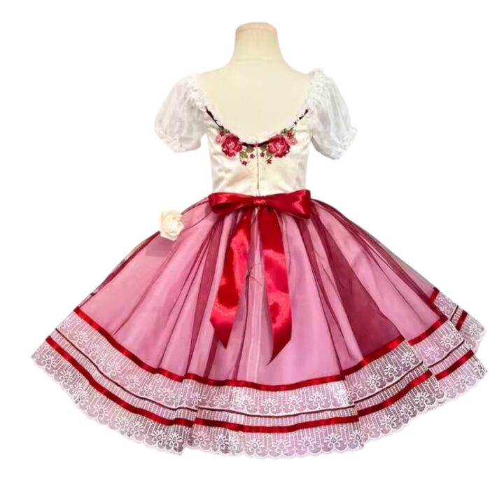 Pink Giselle Tutu - Image 3